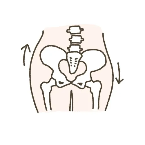 骨盤の歪みがもたらす身体不調