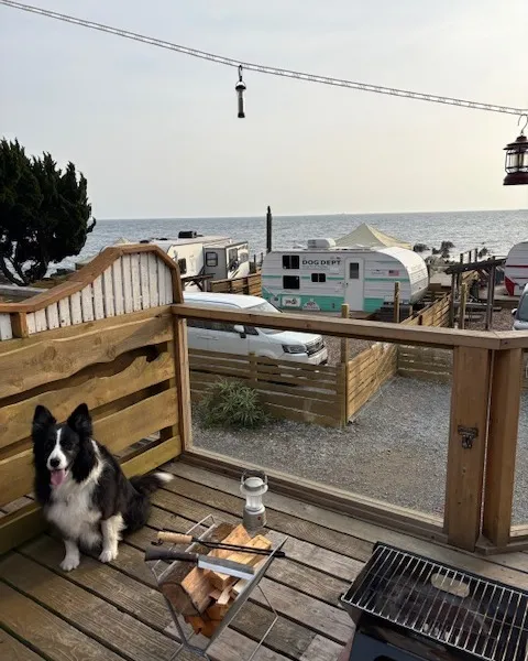 じいじの　”休日の楽しみ”