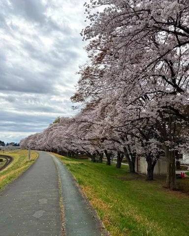 じいじの　”休日の楽しみ”