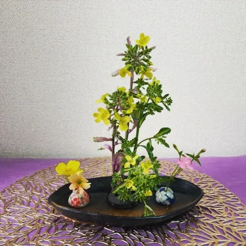 じいじの　”休日の楽しみ”