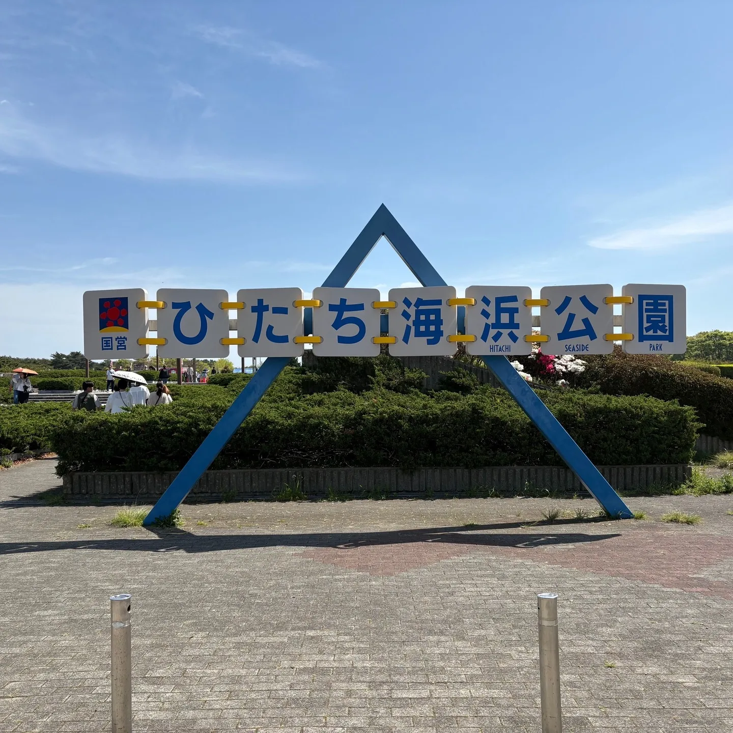 じいじの ”休日の楽しみ”