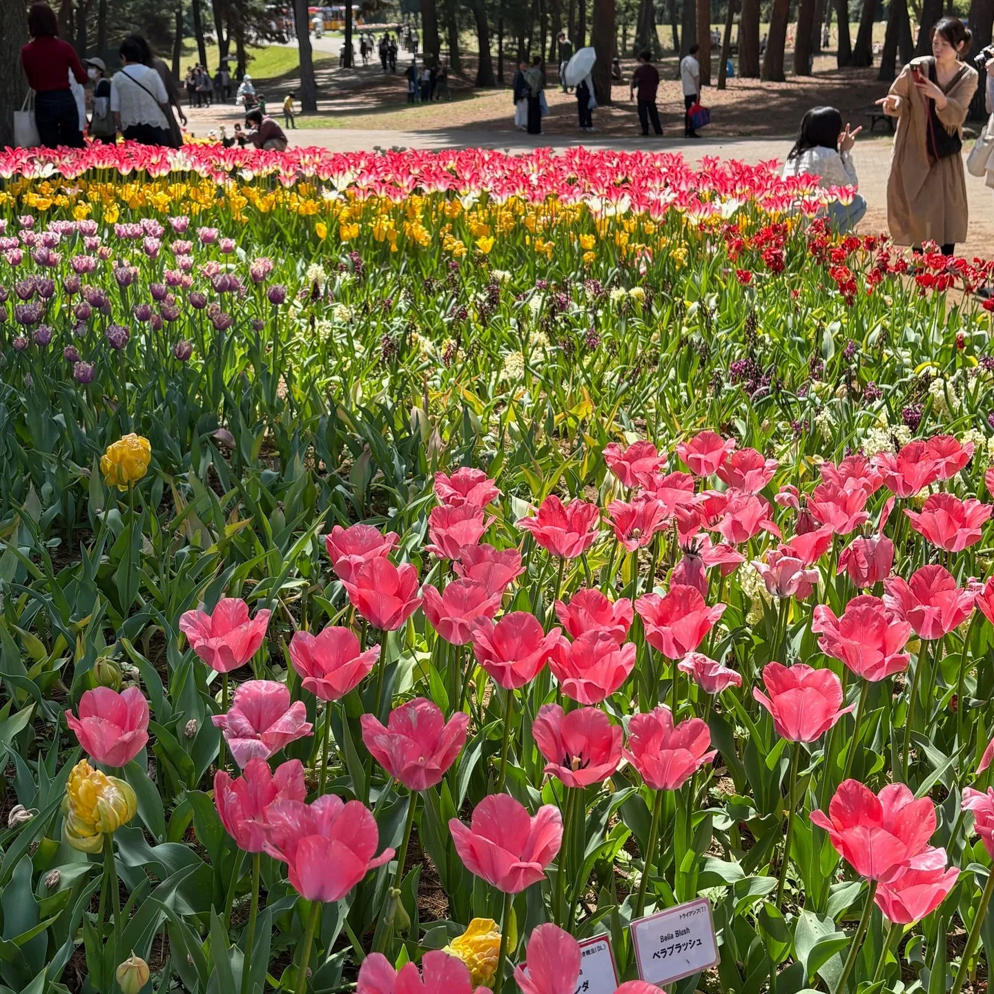 じいじの ”休日の楽しみ”