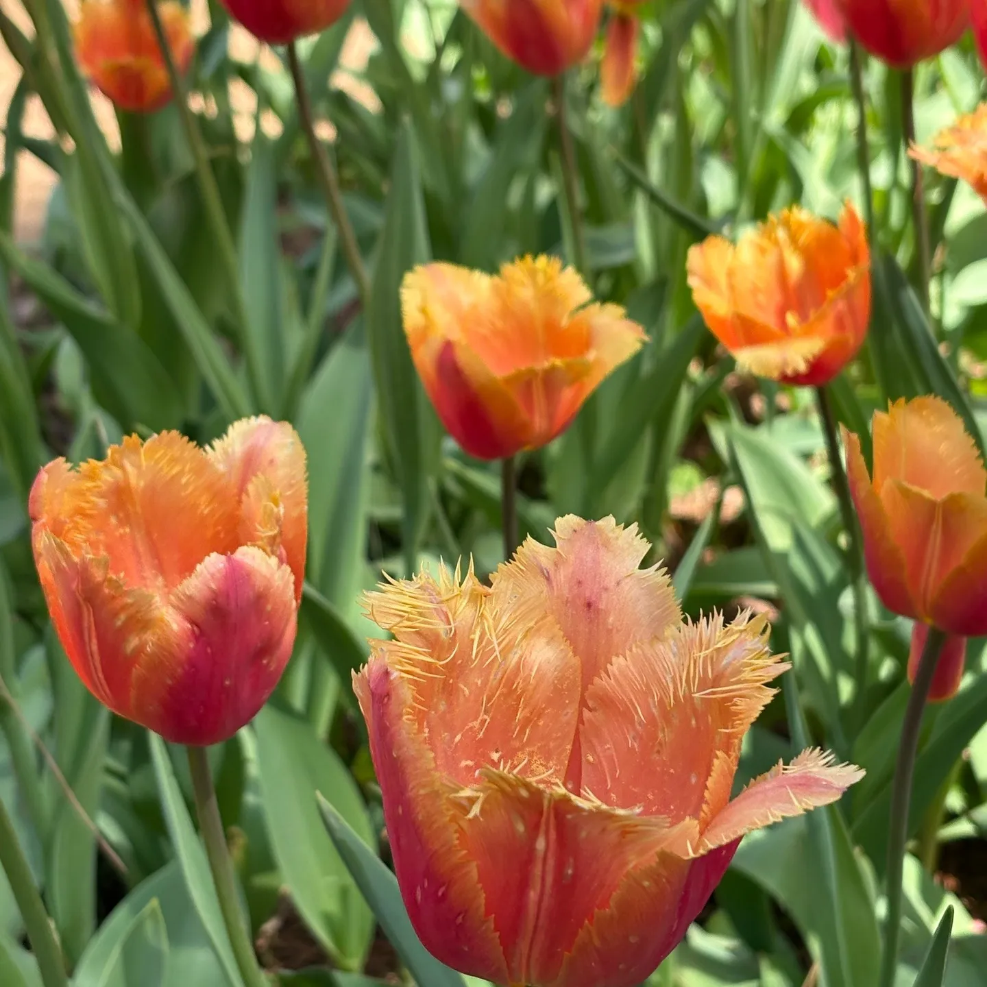 じいじの ”休日の楽しみ”