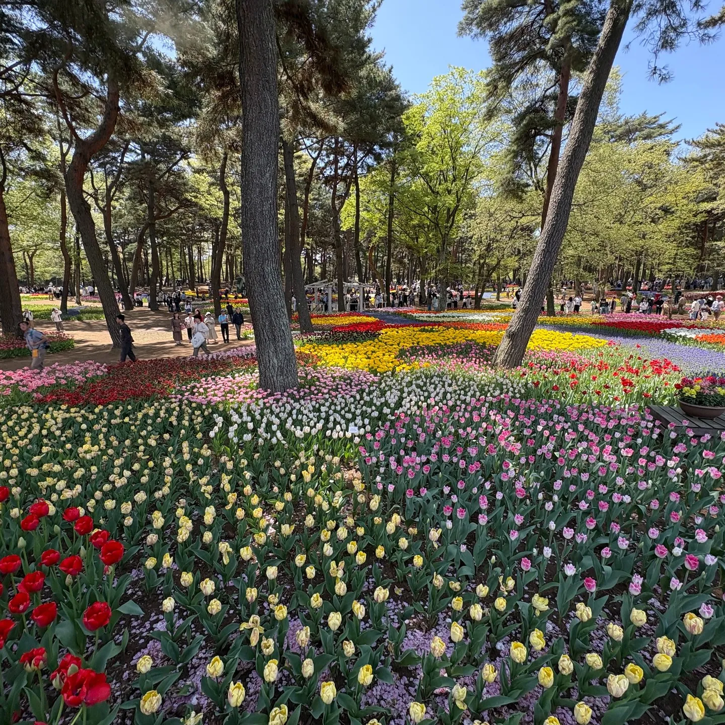 じいじの ”休日の楽しみ”