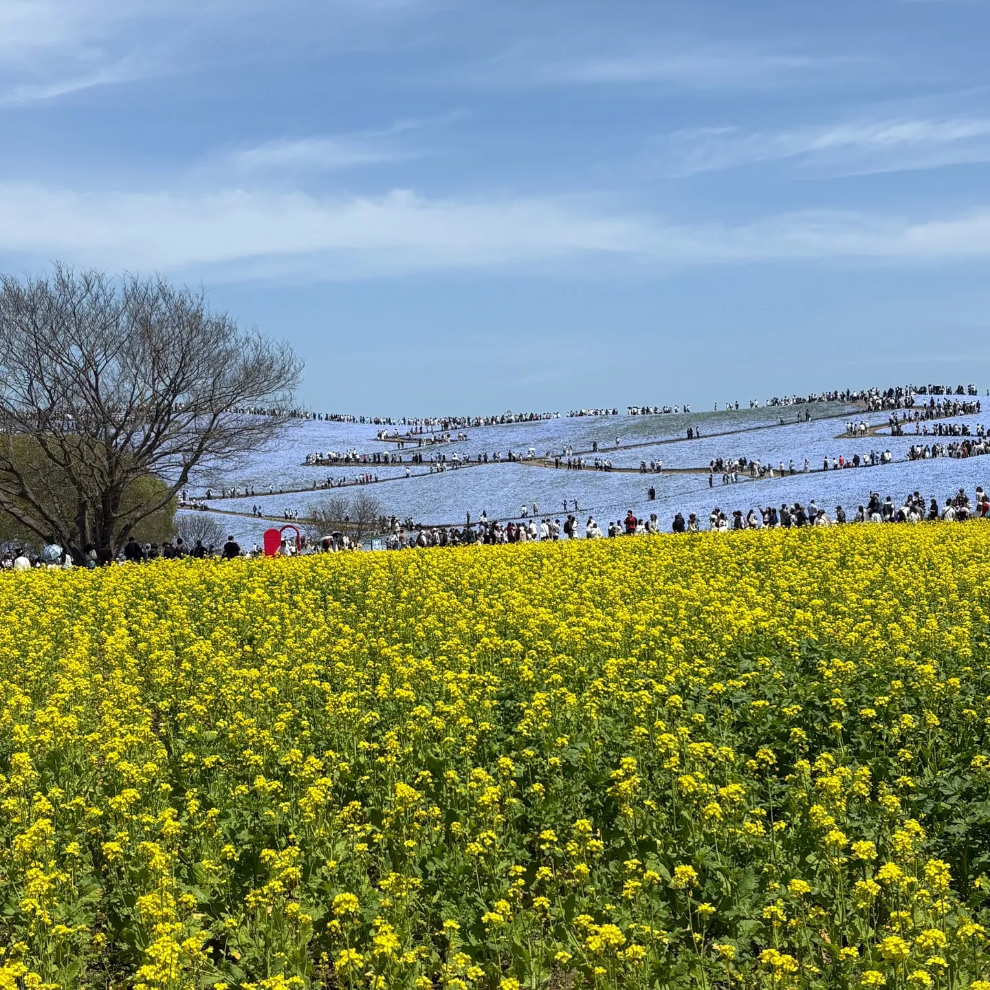 じいじの ”休日の楽しみ”