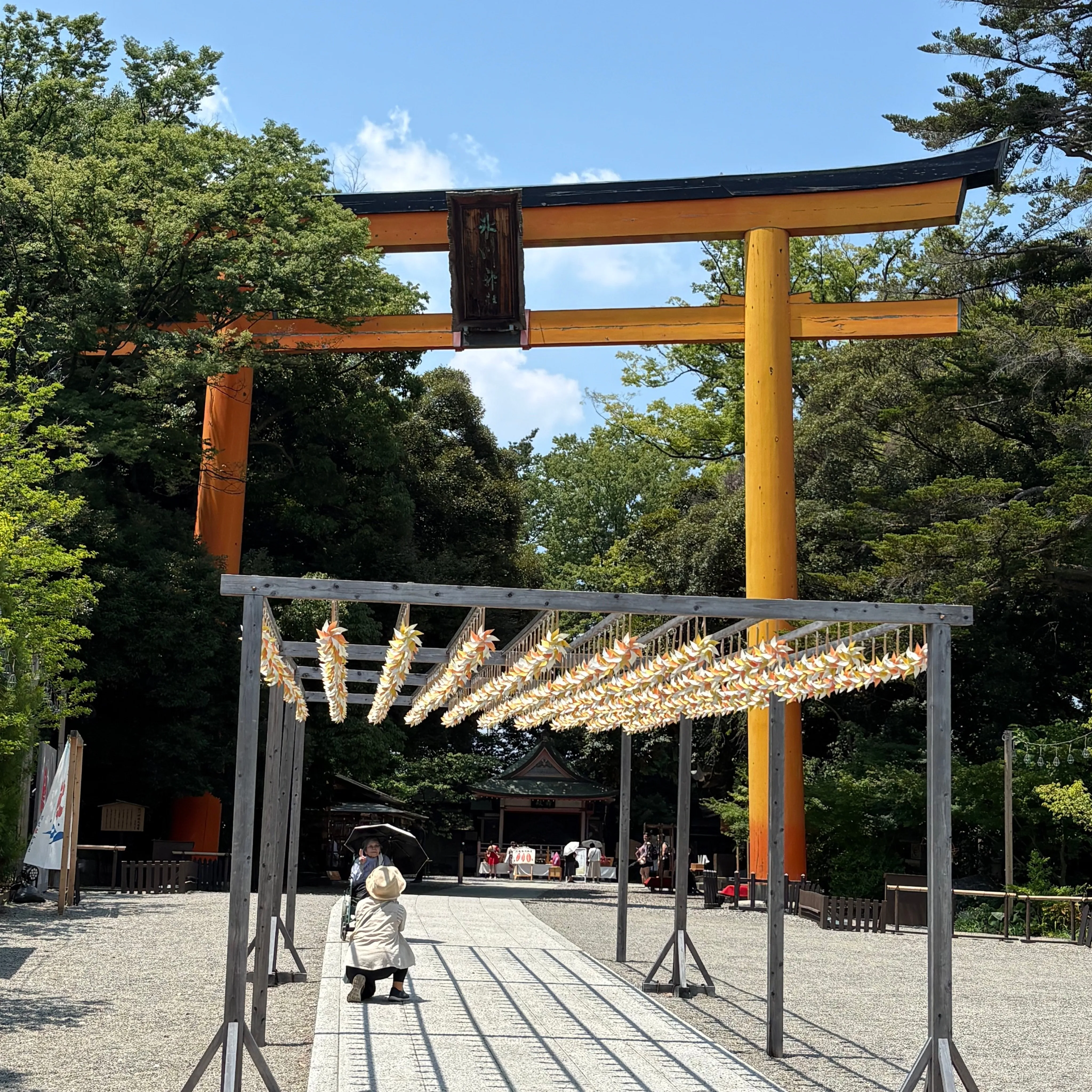 じいじの ”休日の楽しみ”