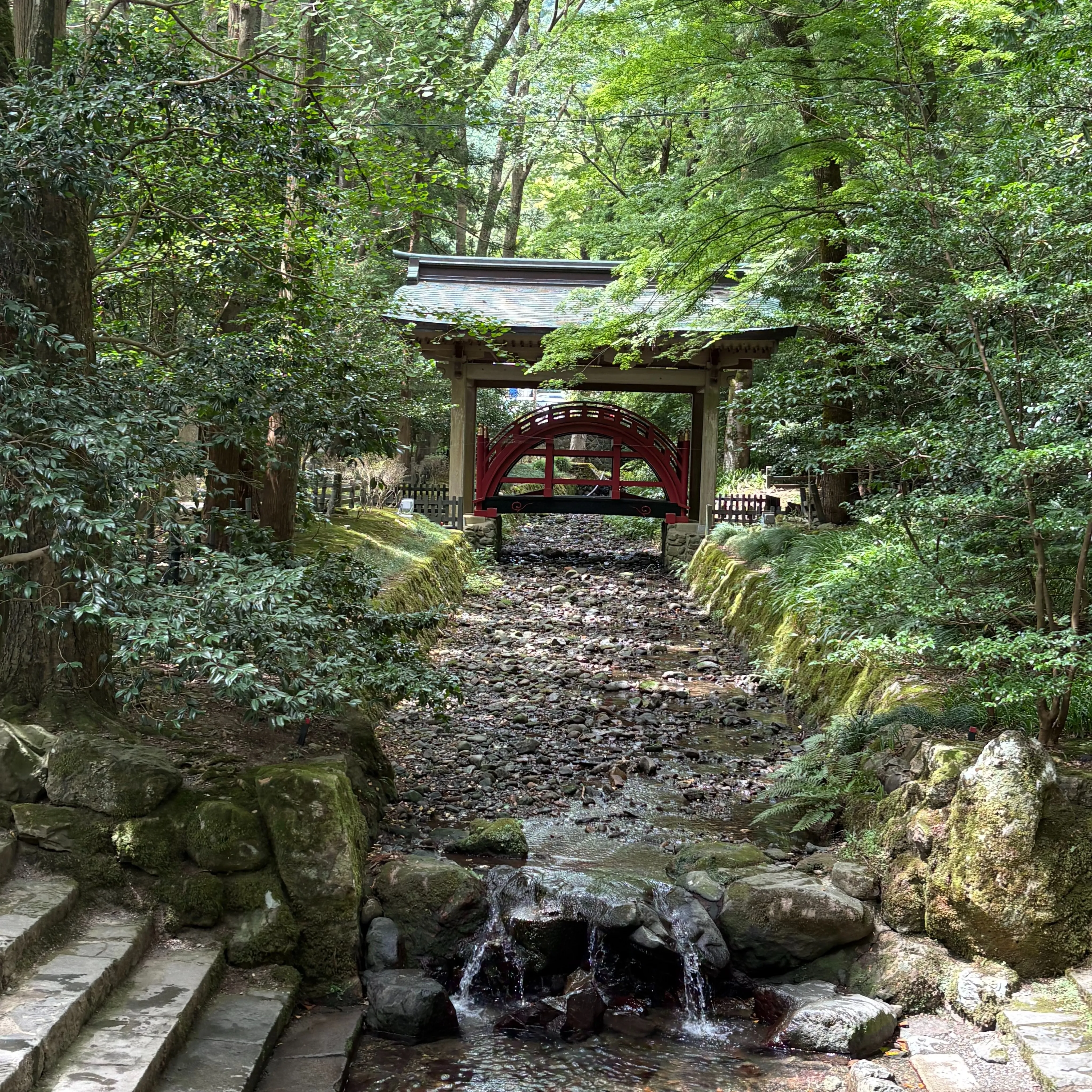 じいじの休日の楽しみ